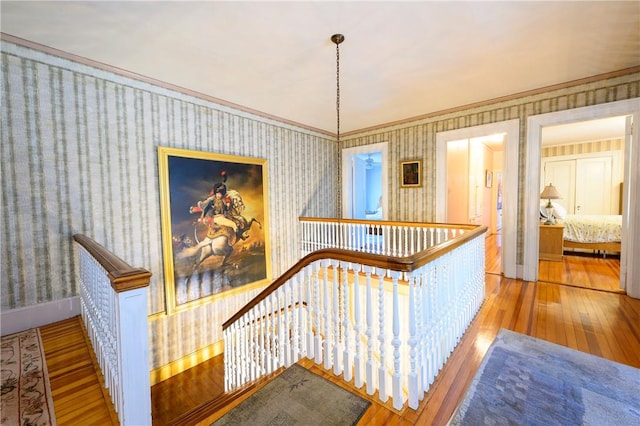 corridor featuring hardwood / wood-style floors and ornamental molding