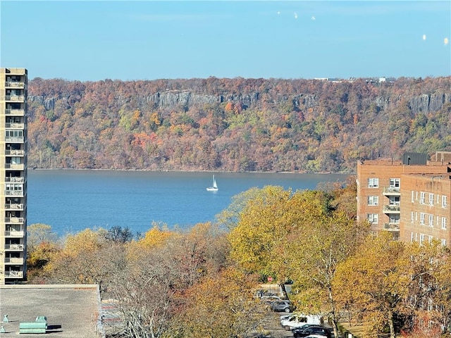 property view of water