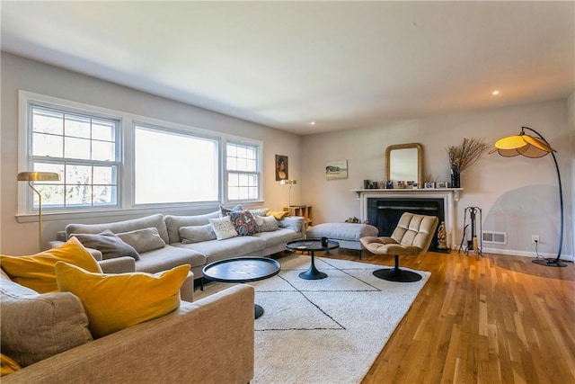 living room featuring wood-type flooring and a wealth of natural light