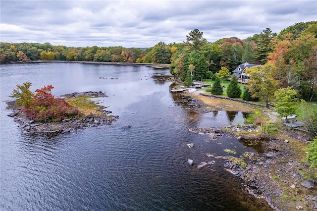 property view of water