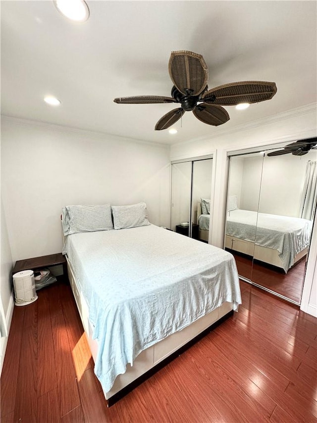 bedroom featuring two closets, ceiling fan, crown molding, and dark hardwood / wood-style floors