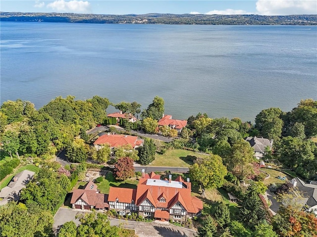 aerial view with a water view