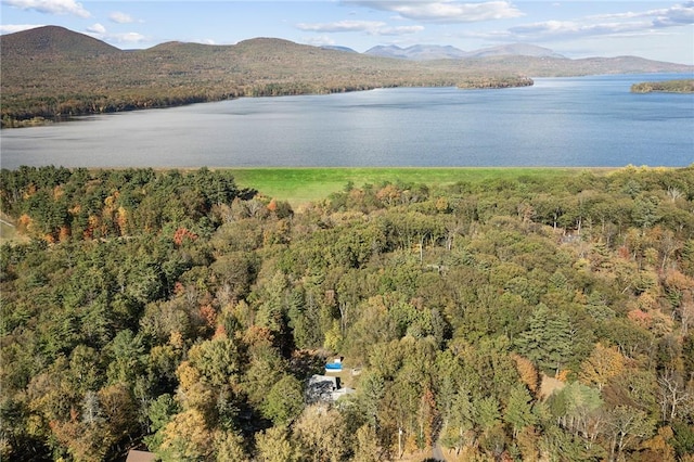 drone / aerial view featuring a forest view and a water and mountain view