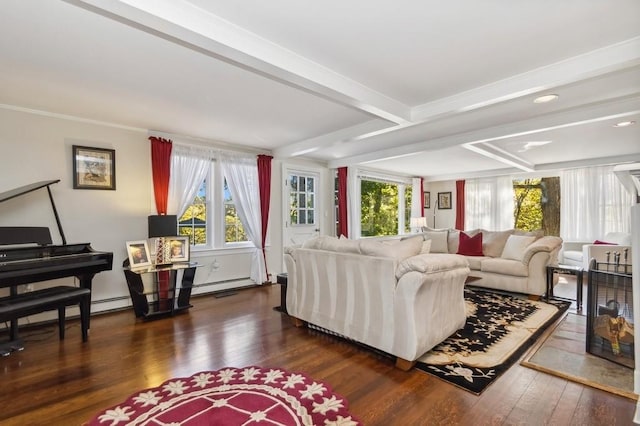 living room with beam ceiling, baseboard heating, dark wood-type flooring, and a wealth of natural light