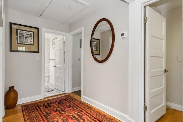 corridor featuring light hardwood / wood-style flooring