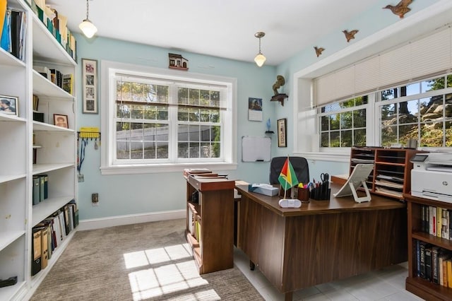 carpeted office space featuring a wealth of natural light