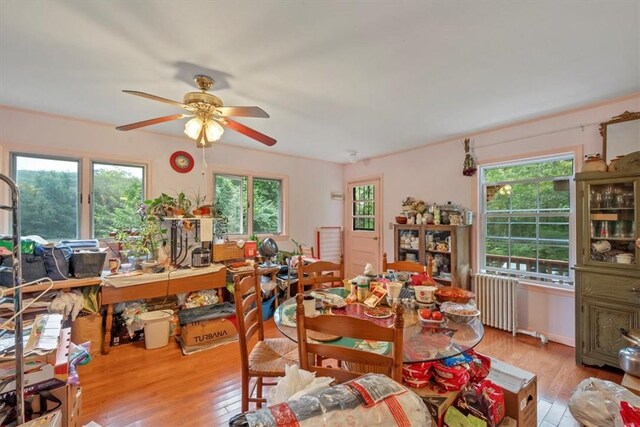 dining space featuring radiator, a wealth of natural light, and light hardwood / wood-style flooring