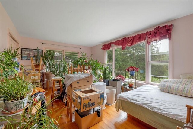 bedroom with light hardwood / wood-style floors