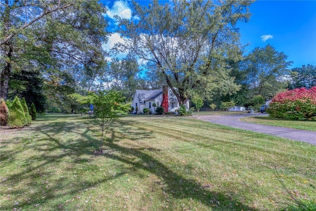 179 Grove St, Tillson, NY 12486 - view of green lawn