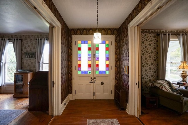 foyer entrance featuring dark hardwood / wood-style floors