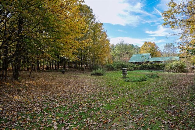 68 Main St, Livingston Manor, NY 12758 - photo 34