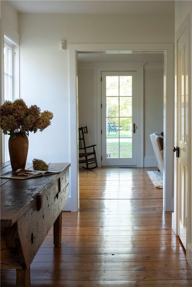 entryway featuring hardwood / wood-style flooring