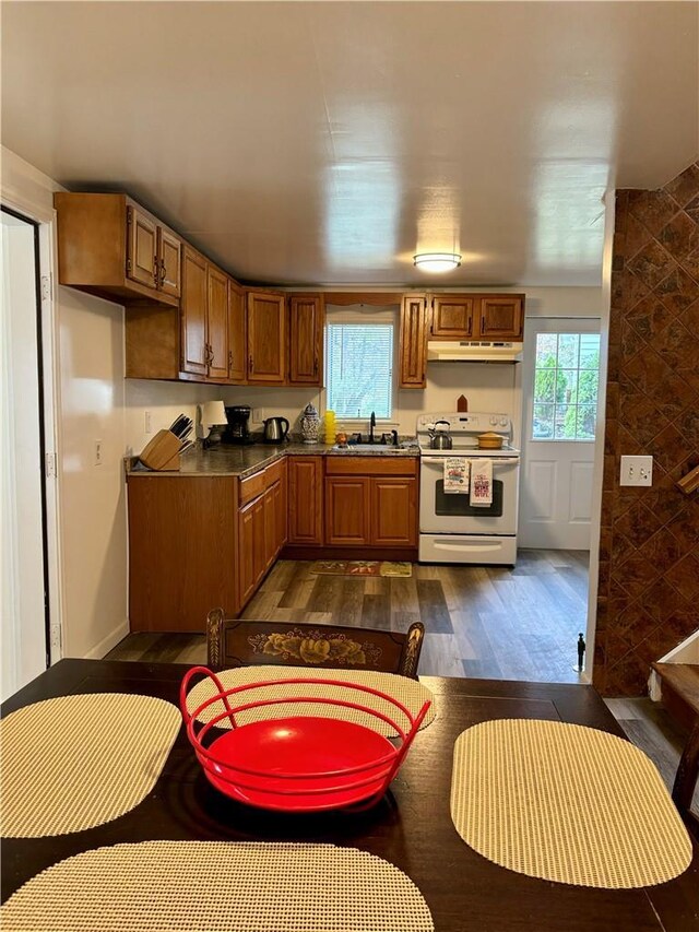 4 Worden Ln, White Sulphur Spring, NY 12787 - kitchen with electric range, under cabinet range hood, dark wood-type flooring, a sink, and plenty of natural light