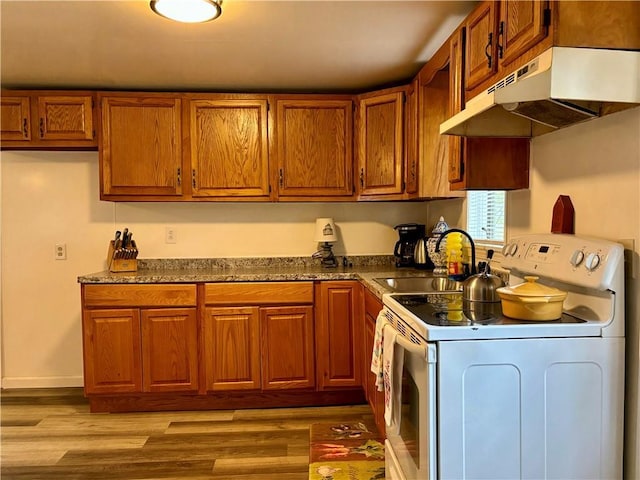 4 Worden Ln, White Sulphur Spring, NY 12787 - kitchen featuring white electric stove, under cabinet range hood, a sink, and brown cabinets