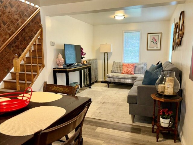 4 Worden Ln, White Sulphur Spring, NY 12787 - living area with stairs, wood finished floors, and radiator