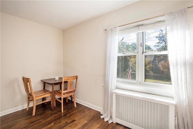 dining space with radiator, dark wood-type flooring, and a healthy amount of sunlight