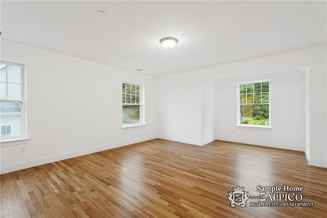 spare room with light hardwood / wood-style floors and a wealth of natural light