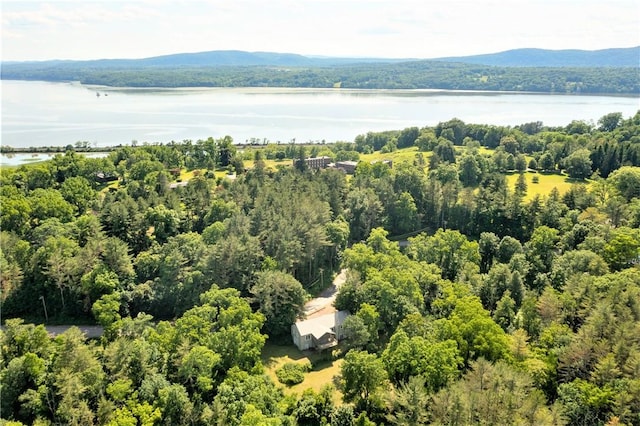 aerial view with a water and mountain view