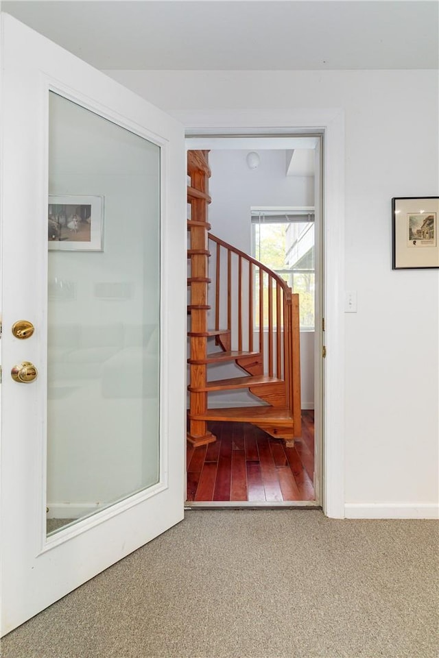 interior space with carpet flooring