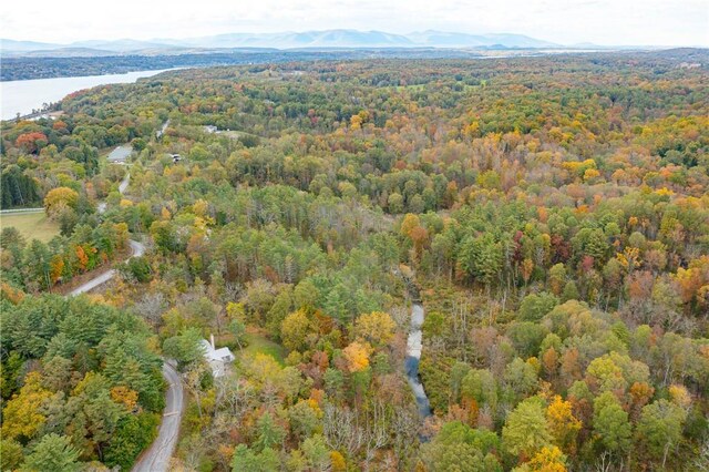 birds eye view of property with a water and mountain view