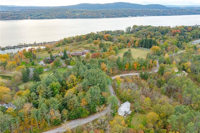 birds eye view of property with a water and mountain view