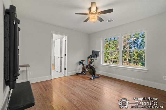 exercise area with ceiling fan and wood-type flooring