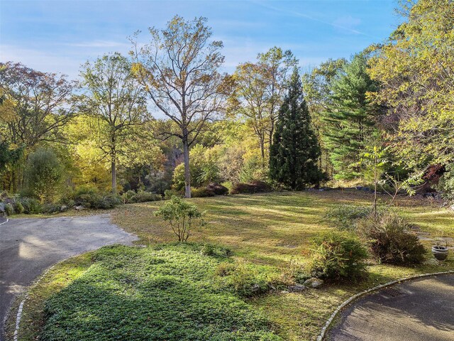 65 Old Aspetong Rd, Katonah, NY 10536 - photo 16
