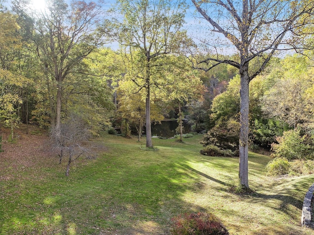65 Old Aspetong Rd, Katonah, NY 10536 - photo 17
