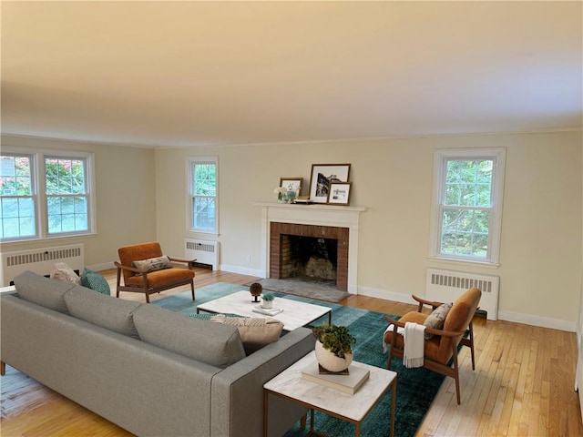 living room featuring a wealth of natural light, light hardwood / wood-style floors, and radiator