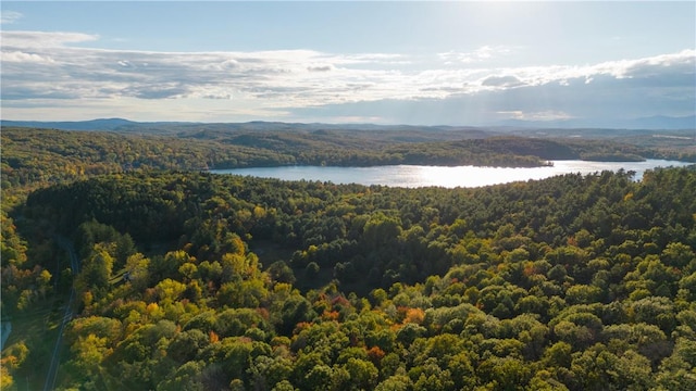 TBD County Route 7, Copake NY, 12516 land for sale