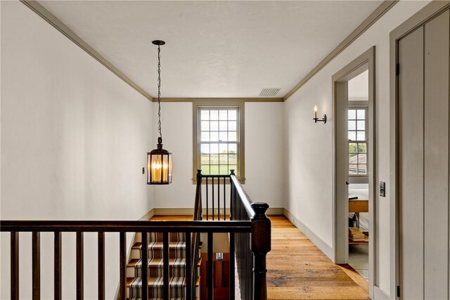 stairs featuring hardwood / wood-style floors and crown molding