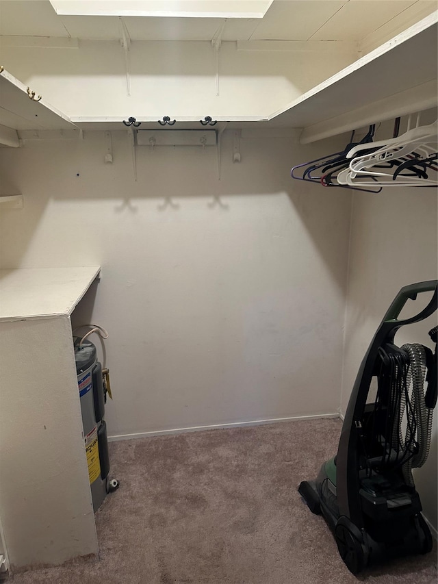 walk in closet with carpet flooring