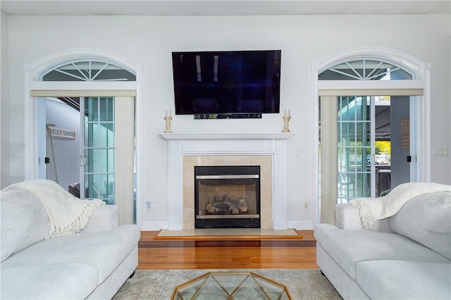 living room featuring a fireplace and wood-type flooring