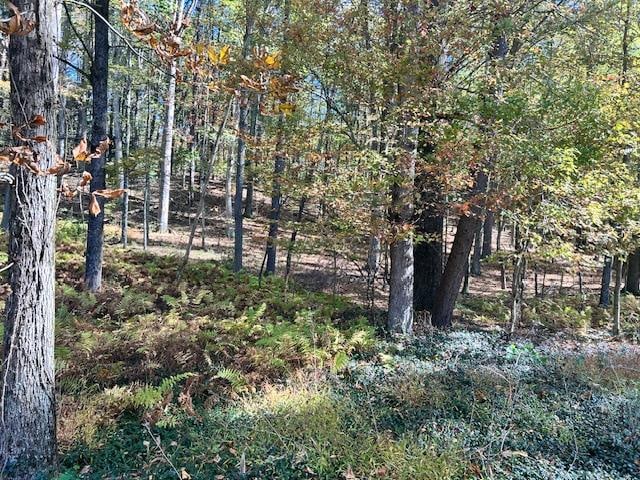 Pine Tree Ln, Wurtsboro NY, 12790 land for sale