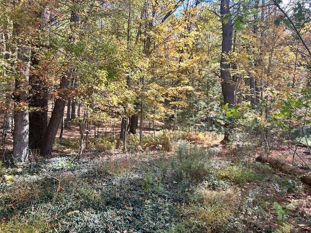 Pine Tree Ln, Wurtsboro, NY 12790