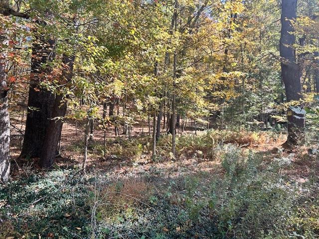 Pine Tree Ln, Wurtsboro, NY 12790