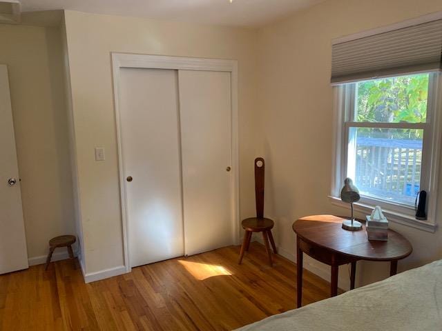 bedroom featuring a closet and wood-type flooring