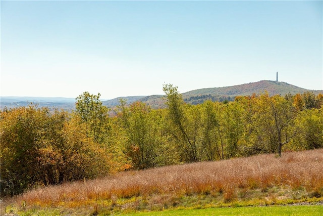 view of mountain feature