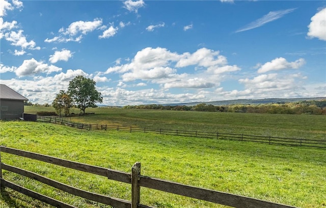 view of yard featuring a rural view