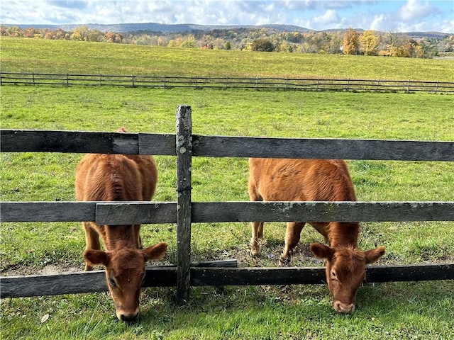 view of gate featuring a rural view