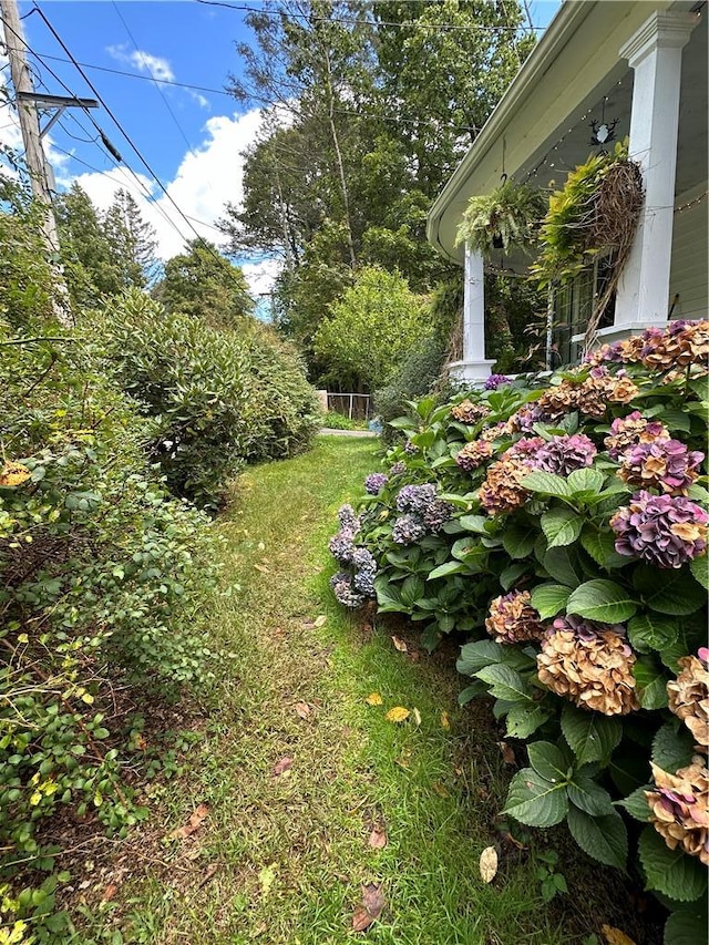 71 High St, Monticello, NY 12701 - view of grassy yard