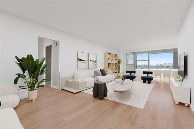 living room featuring wood-type flooring