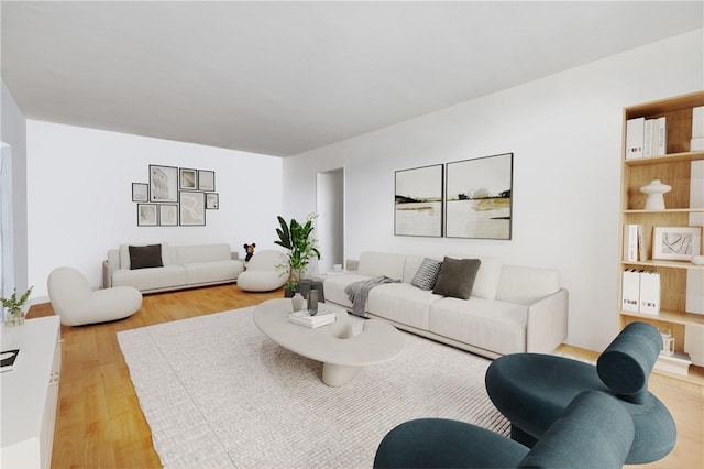 living room featuring hardwood / wood-style floors