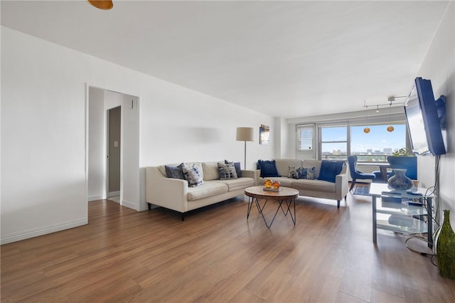 living room featuring wood-type flooring