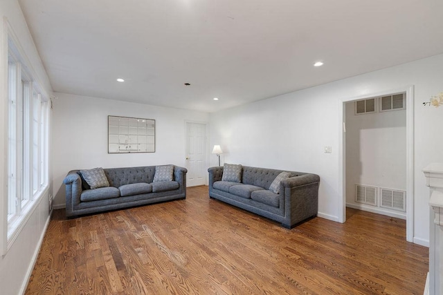 living room featuring wood-type flooring