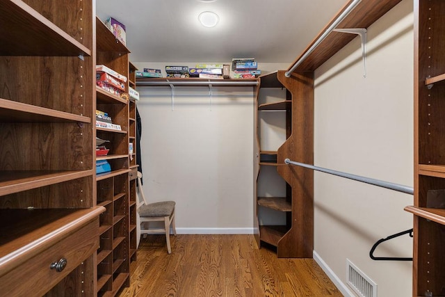 walk in closet with wood-type flooring