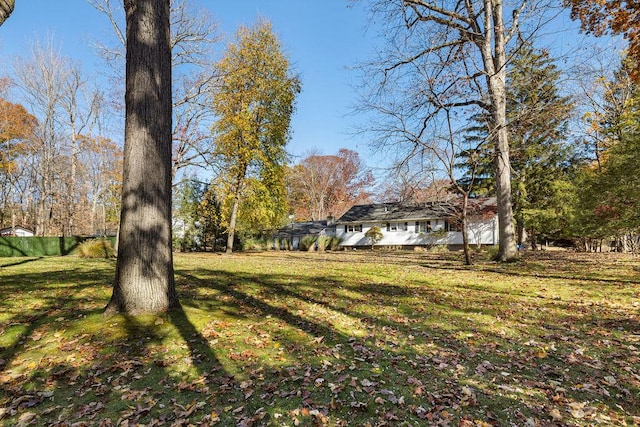 view of yard