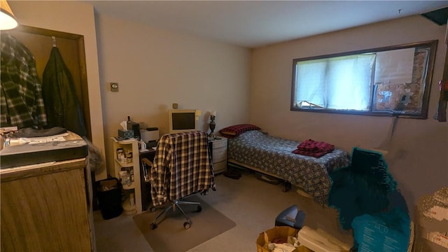 bedroom with carpet floors