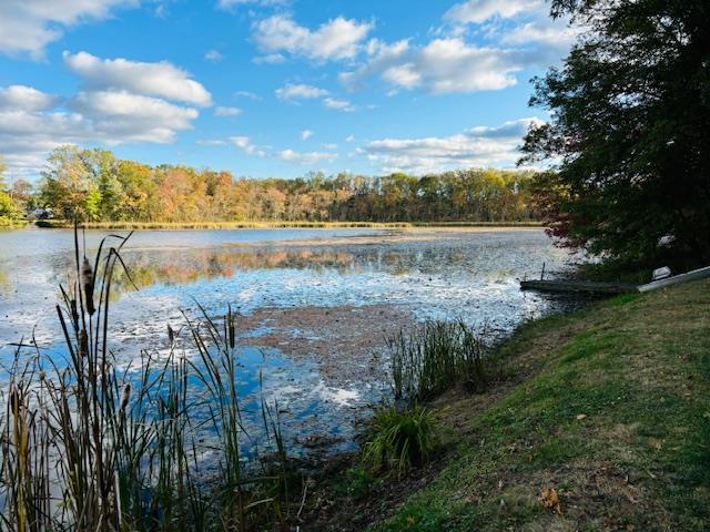 37 Lake Shore Dr, Ancramdale, NY 12503 - water view featuring a heavily wooded area