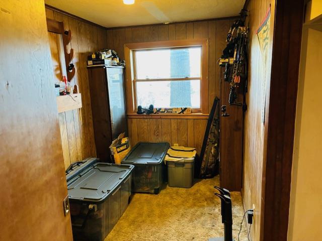 37 Lake Shore Dr, Ancramdale, NY 12503 - living area featuring carpet floors and wood walls